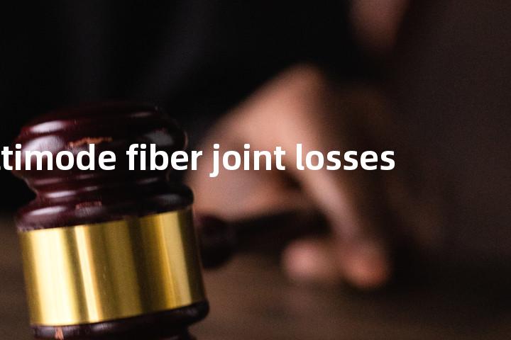 multimode fiber joint losses单词图解，单词释义场景配图