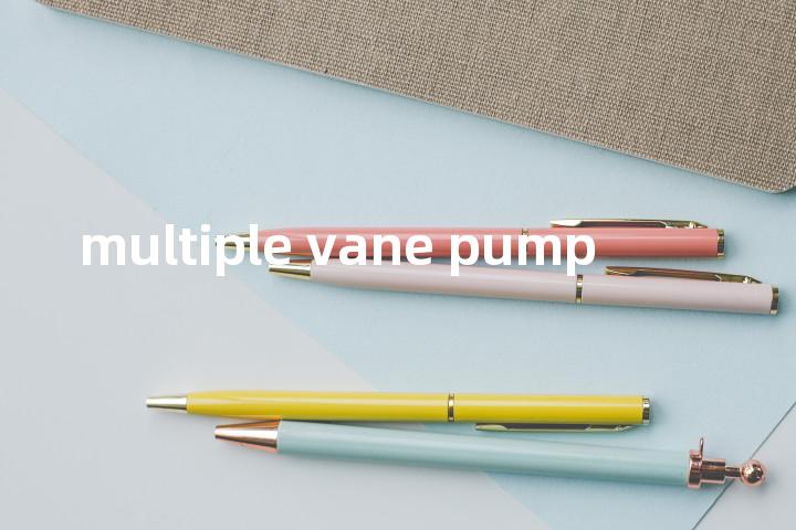 multiple vane pump单词图解，单词释义场景配图