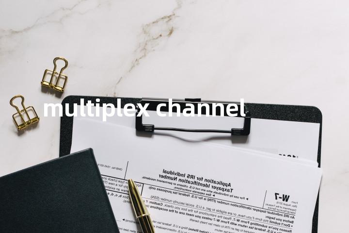 multiplex channel单词图解，单词释义场景配图