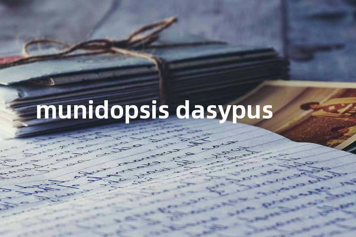 munidopsis dasypus单词图解，单词释义场景配图