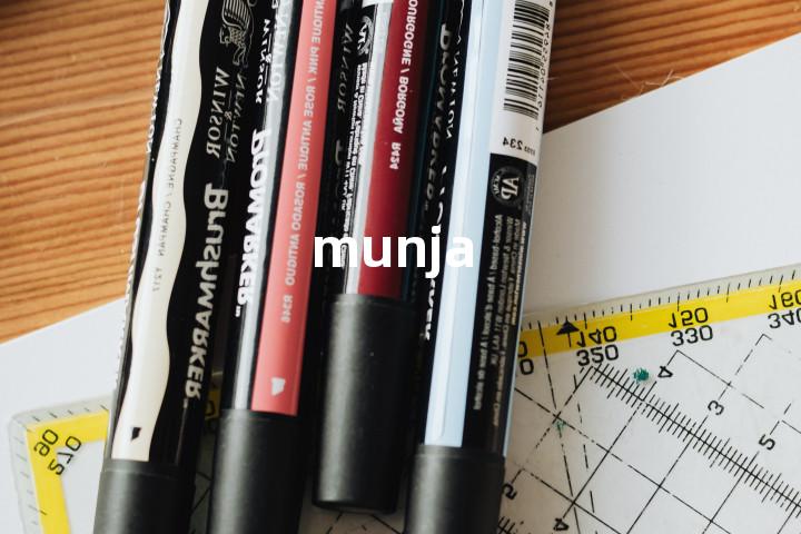 munja单词图解，单词释义场景配图