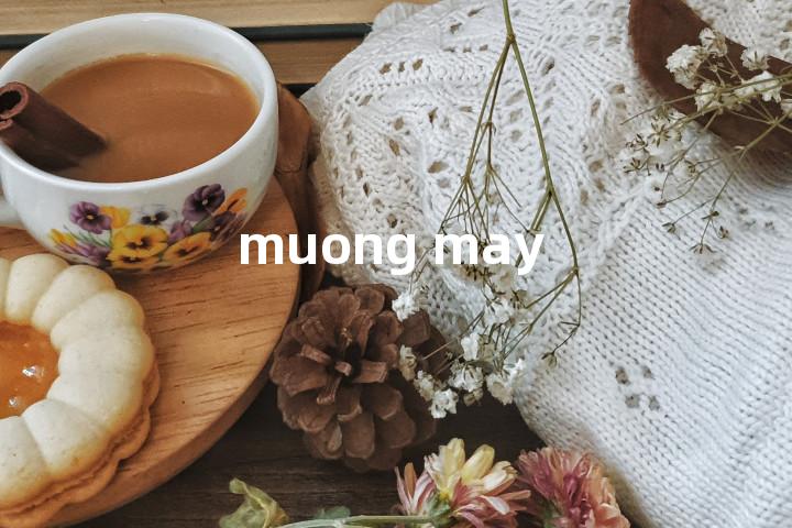 muong may单词图解，单词释义场景配图
