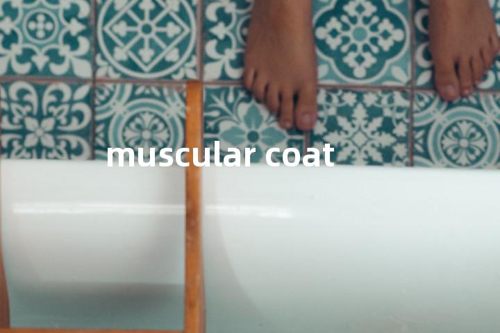 muscular coat单词图解，单词释义场景配图