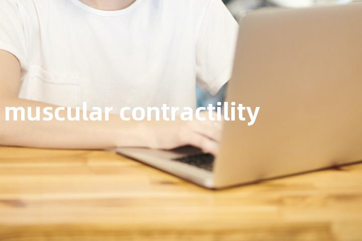 muscular contractility单词图解，单词释义场景配图