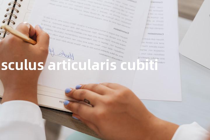 musculus articularis cubiti单词图解，单词释义场景配图