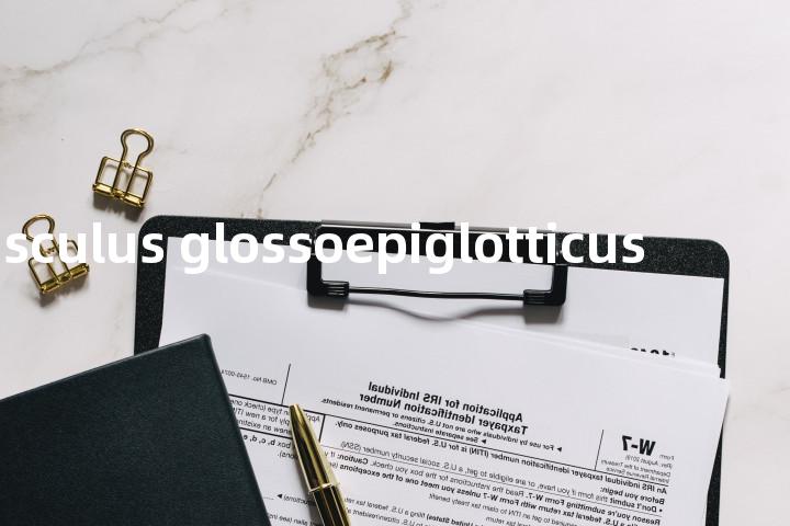 musculus glossoepiglotticus单词图解，单词释义场景配图