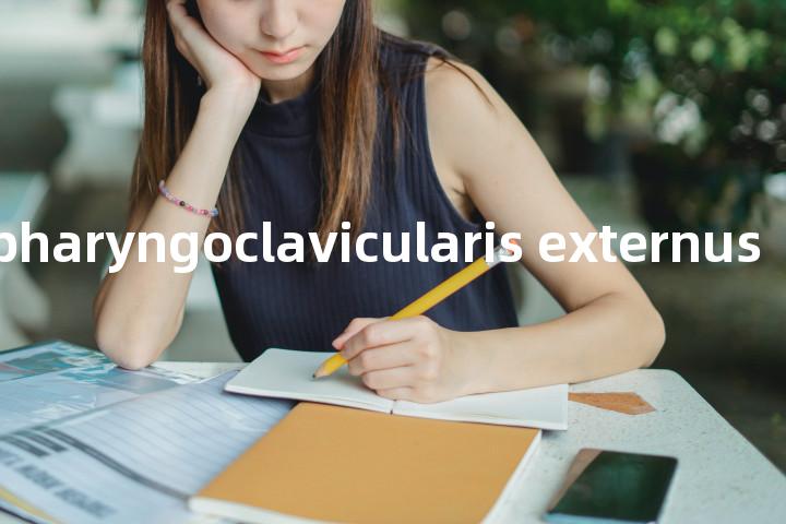 musculus pharyngoclavicularis externus单词图解，单词释义场景配图