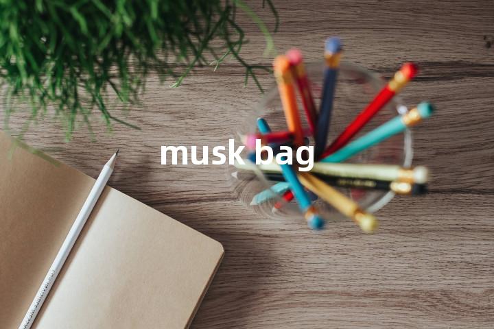 musk bag单词图解，单词释义场景配图