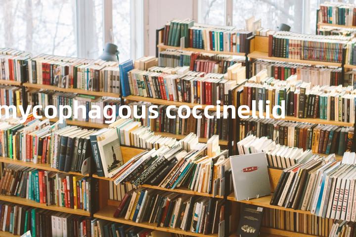 mycophagous coccinellid单词图解，单词释义场景配图