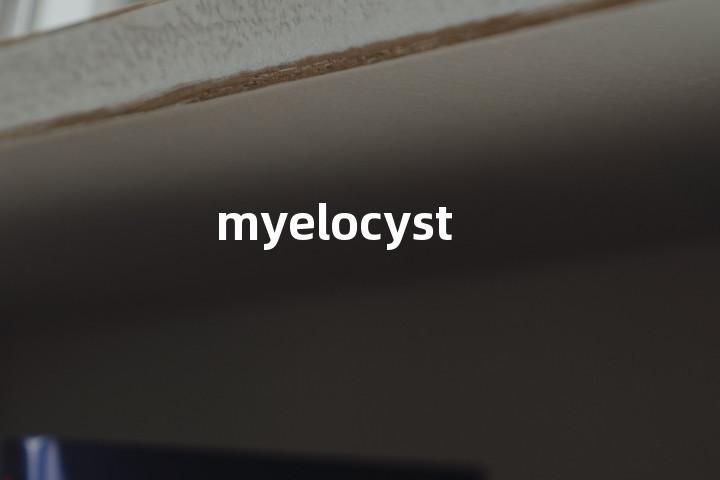 myelocyst单词图解，单词释义场景配图