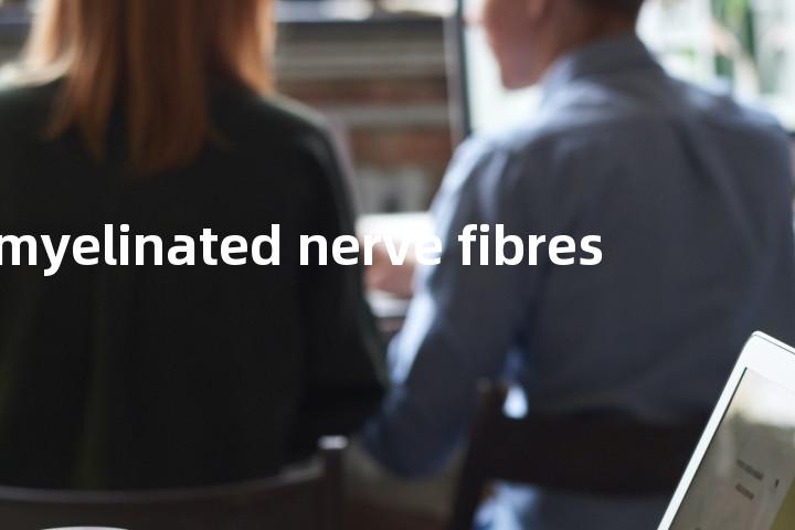 myelinated nerve fibres单词图解，单词释义场景配图