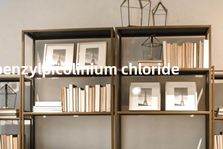 n-benzylpicolinium chloride单词图解，单词释义场景配图
