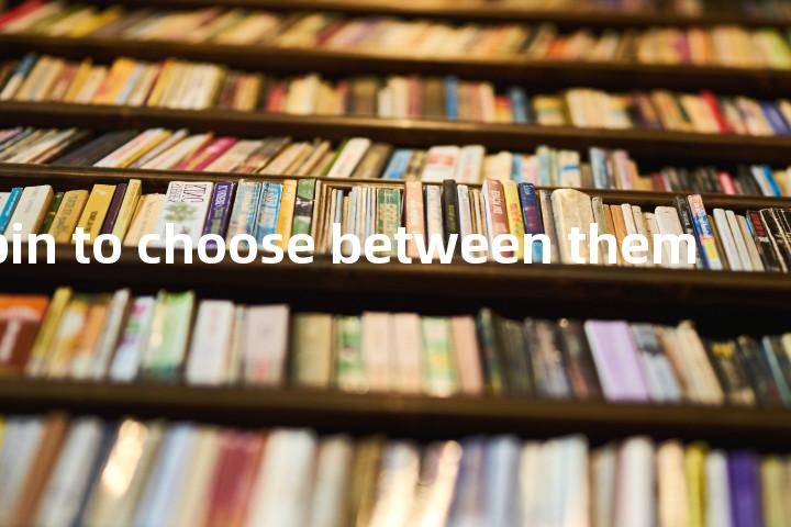 not a pin to choose between them单词图解，单词释义场景配图
