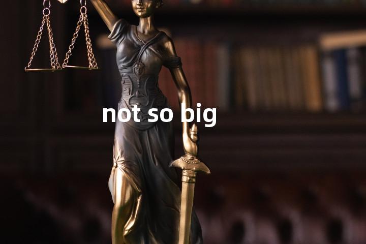 not so big单词图解，单词释义场景配图