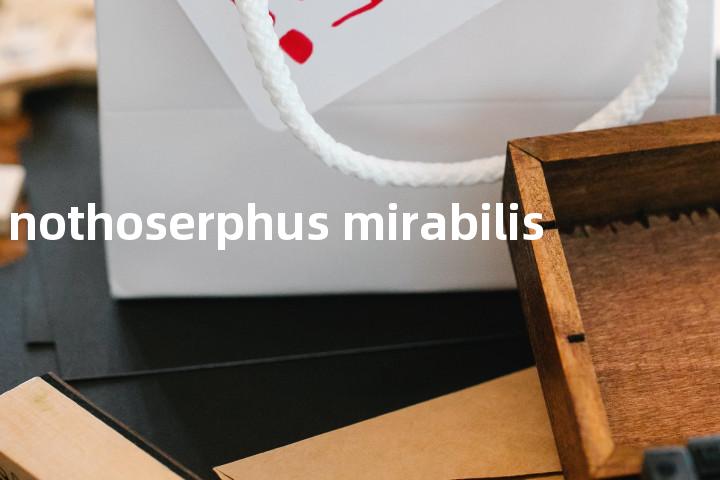 nothoserphus mirabilis单词图解，单词释义场景配图