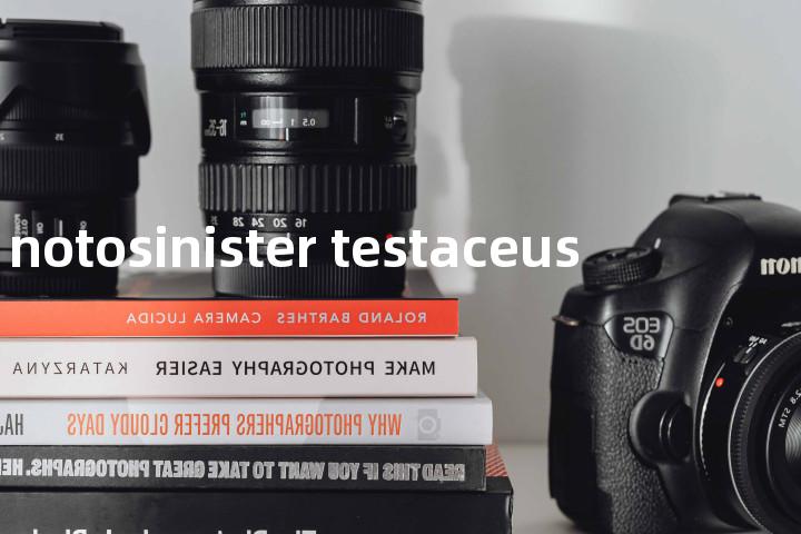 notosinister testaceus单词图解，单词释义场景配图