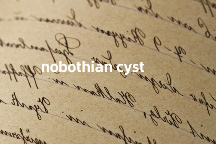 nobothian cyst单词图解，单词释义场景配图