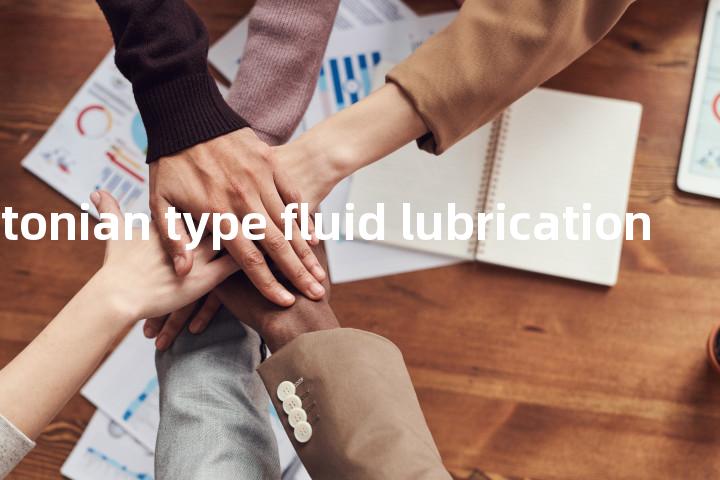 non-Newtonian type fluid lubrication单词图解，单词释义场景配图