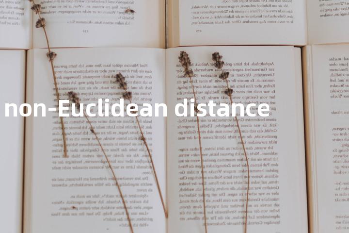 non-Euclidean distance单词图解，单词释义场景配图