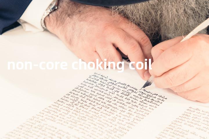 non-core choking coil单词图解，单词释义场景配图