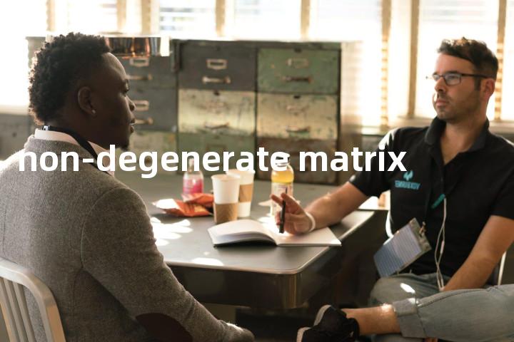 non-degenerate matrix单词图解，单词释义场景配图