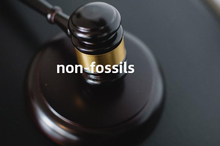 non-fossils单词图解，单词释义场景配图