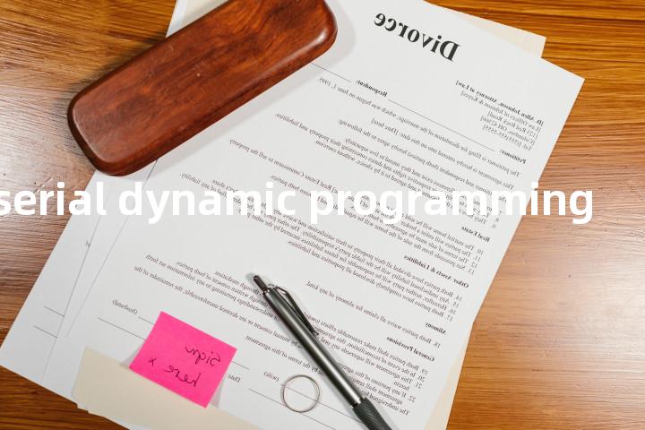non-serial dynamic programming单词图解，单词释义场景配图