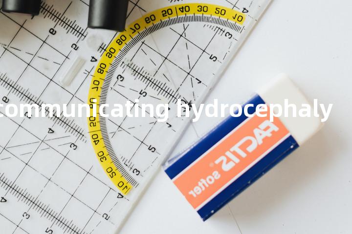 noncommunicating hydrocephaly单词图解，单词释义场景配图