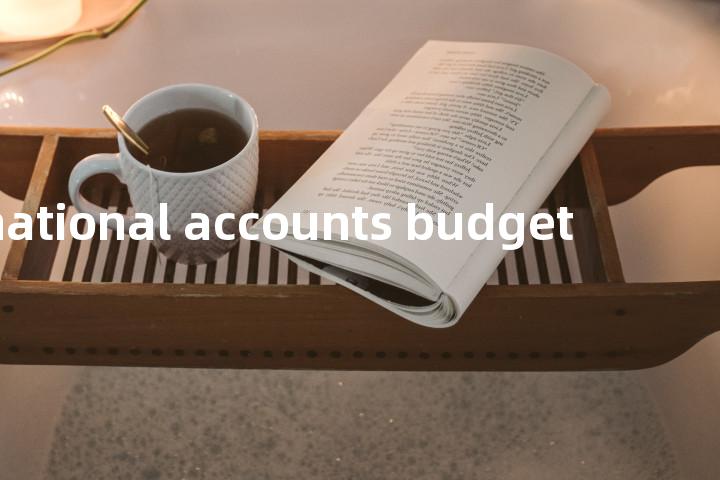 national accounts budget单词图解，单词释义场景配图