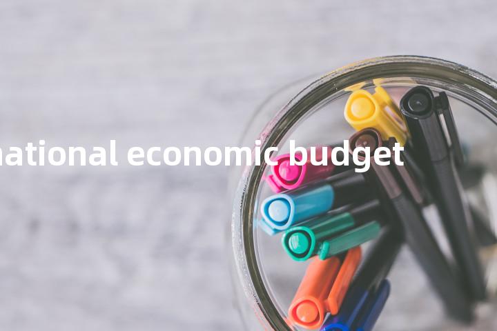 national economic budget单词图解，单词释义场景配图