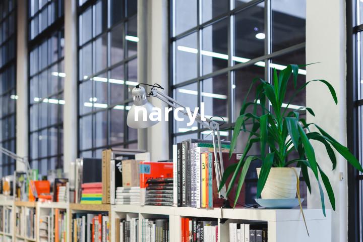 narcyl单词图解，单词释义场景配图