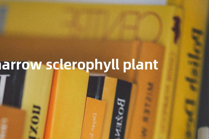 narrow sclerophyll plant单词图解，单词释义场景配图