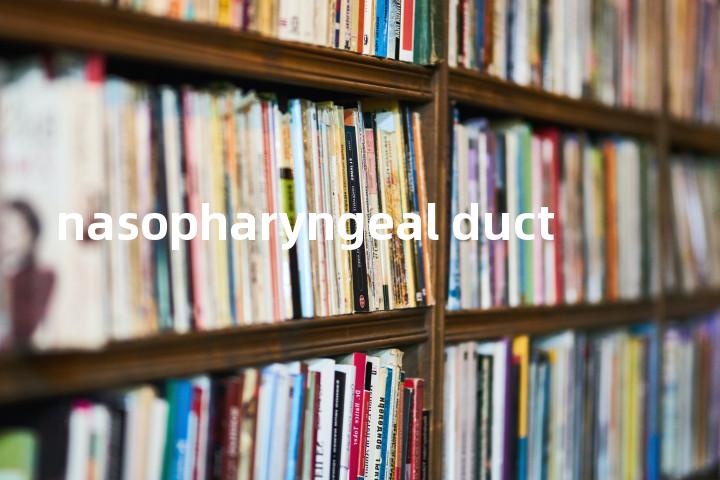 nasopharyngeal duct单词图解，单词释义场景配图