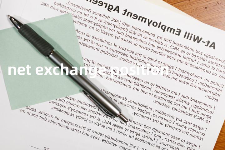 net exchange position单词图解，单词释义场景配图