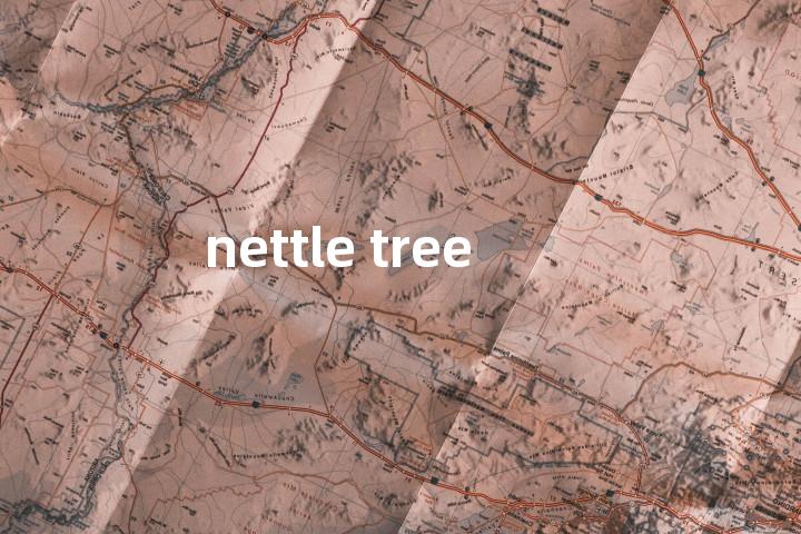 nettle tree单词图解，单词释义场景配图