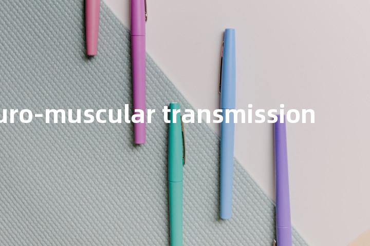 neuro-muscular transmission单词图解，单词释义场景配图