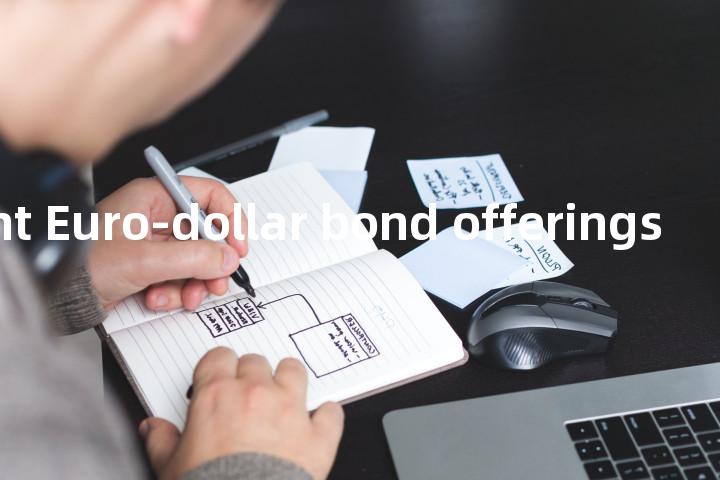 new straight Euro-dollar bond offerings单词图解，单词释义场景配图