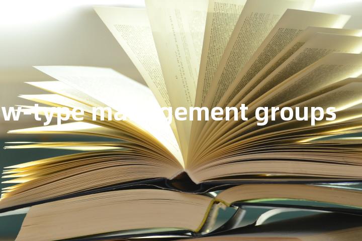 new-type management groups单词图解，单词释义场景配图