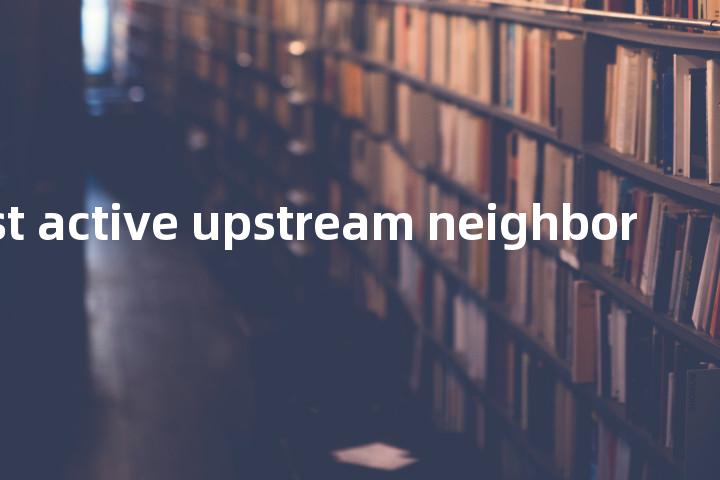 nearest active upstream neighbor单词图解，单词释义场景配图