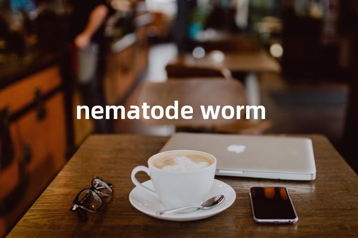 nematode worm单词图解，单词释义场景配图