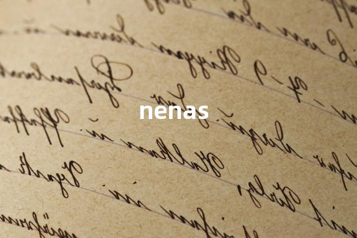 nenas单词图解，单词释义场景配图