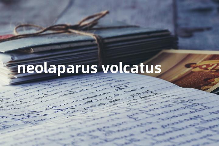 neolaparus volcatus单词图解，单词释义场景配图