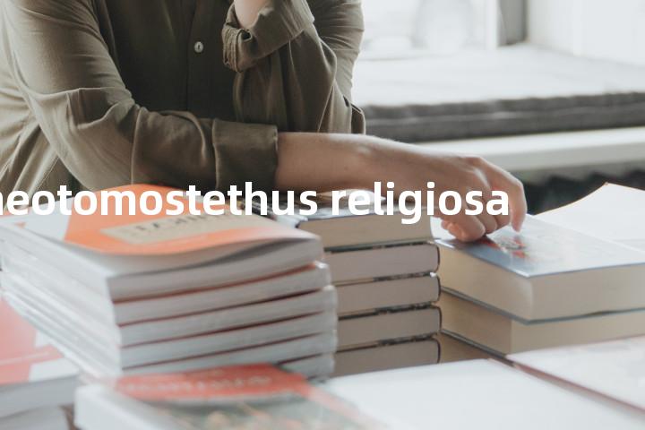 neotomostethus religiosa单词图解，单词释义场景配图