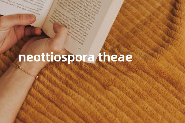 neottiospora theae单词图解，单词释义场景配图