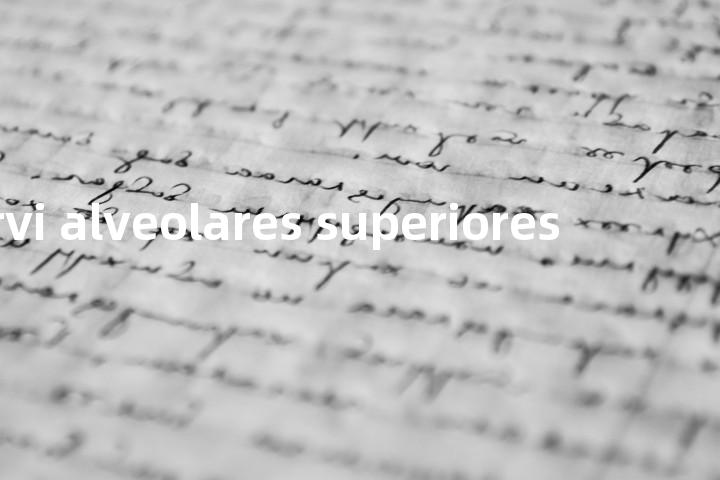 nervi alveolares superiores单词图解，单词释义场景配图