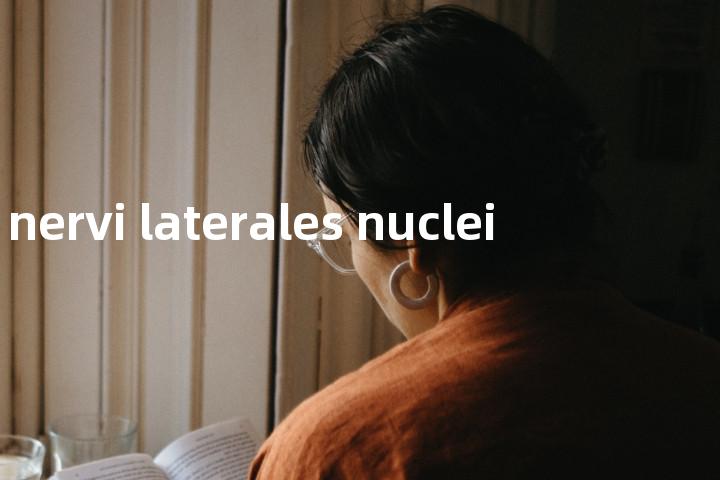 nervi laterales nuclei单词图解，单词释义场景配图