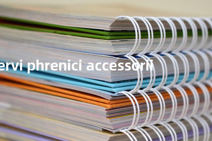 nervi phrenici accessorii单词图解，单词释义场景配图