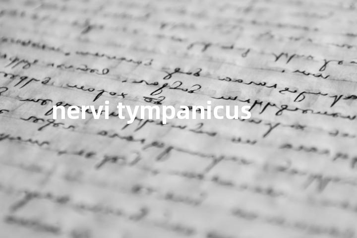 nervi tympanicus单词图解，单词释义场景配图