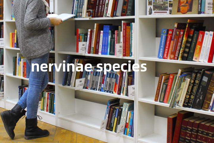 nervinae species单词图解，单词释义场景配图