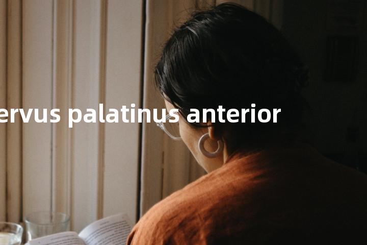 nervus palatinus anterior单词图解，单词释义场景配图